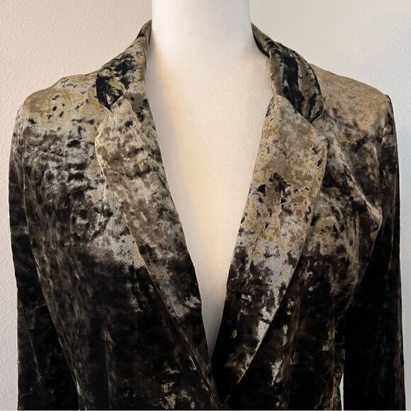 Sanctuary Blazer Velvet Size Small Moss Green Long Sleeve Button Front - Picture 3 of 10
